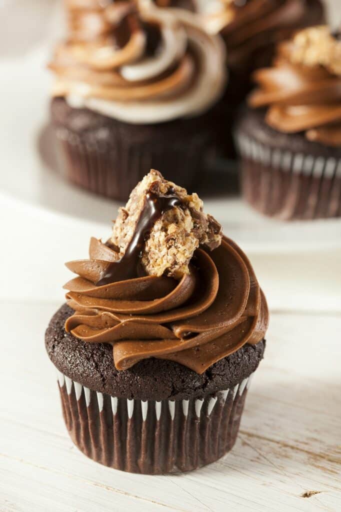 Homemade Chocolate Cupcake with chocolate frosting